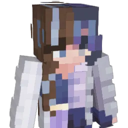 rcastle2110 Minecraft avatar bust