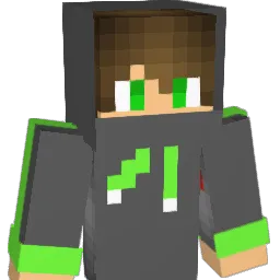 rds1234 Minecraft avatar bust