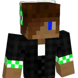 rdudik's Minecraft skin