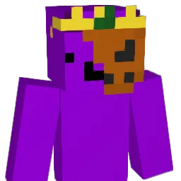 real_player_11 Minecraft avatar bust