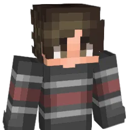 realplocki Minecraft avatar bust