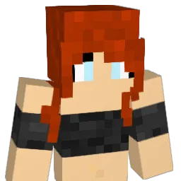 reaper2333 Minecraft avatar bust