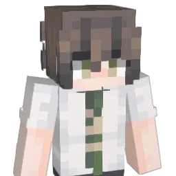 recordzone Minecraft avatar bust