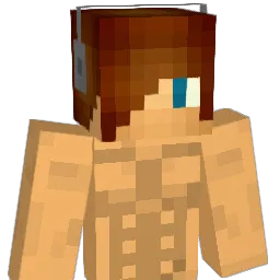 redeli11 Minecraft avatar bust