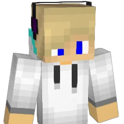 reecy2506 Minecraft avatar bust
