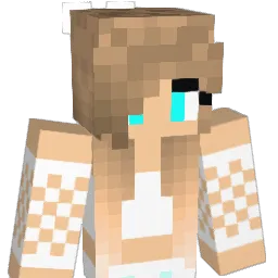 reg909 Minecraft avatar bust