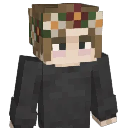 rehabilitatsioon Minecraft avatar bust