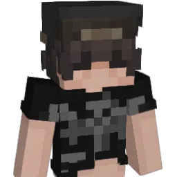 rehistired Minecraft avatar bust