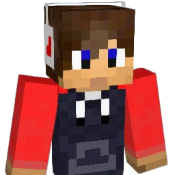 reima199 Minecraft avatar bust
