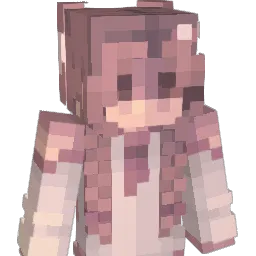 reiny17 Minecraft avatar bust