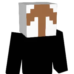 relapsee_dqp Minecraft avatar bust