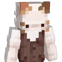 remi_lk