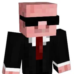 remus300 Minecraft avatar bust