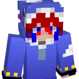 requin489 Minecraft avatar bust
