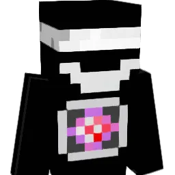 reversedream30 Minecraft avatar bust
