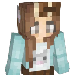 rfewef Minecraft avatar bust