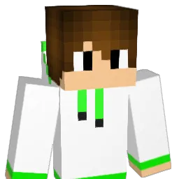 rfm2002 Minecraft avatar bust