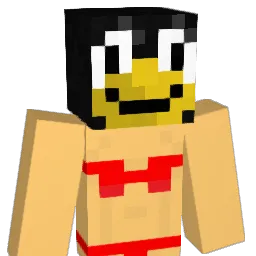 rhysj37 Minecraft avatar bust