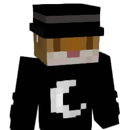 ri_ght Minecraft avatar bust