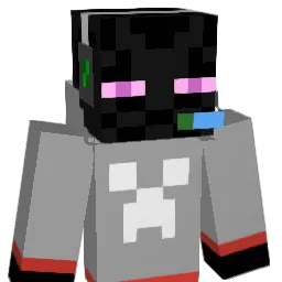 rice_ball3297 Minecraft avatar bust