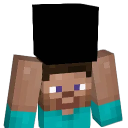 ricefarmer51 Minecraft avatar bust