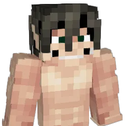 ricexdxdxd Minecraft avatar bust