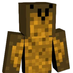 ridry69 Minecraft avatar bust