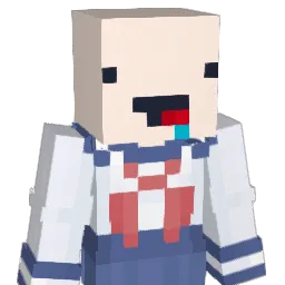 ridster11 Minecraft avatar bust