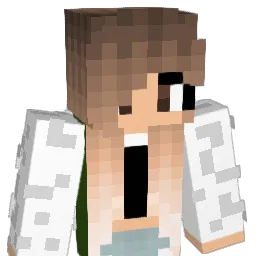 rien2004's Minecraft skin