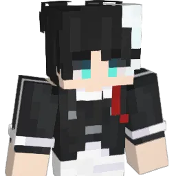 rige3 Minecraft avatar bust