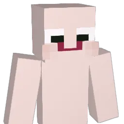 right124 Minecraft avatar bust