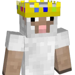 ring0o0's Minecraft skin