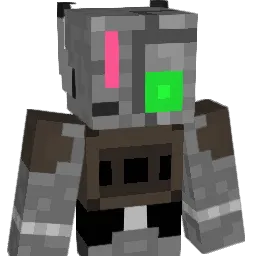 rinndenn63 Minecraft avatar bust