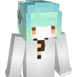 rintwo02's Minecraft skin