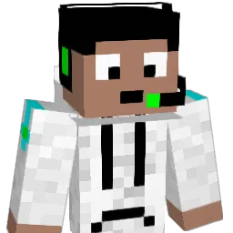 riob34 Minecraft avatar bust