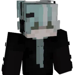 riptm's Minecraft skin