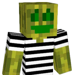 riq5 Minecraft avatar bust