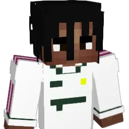 risconxd's Minecraft skin