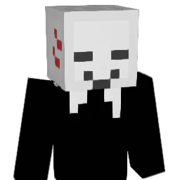 rise1987 Minecraft avatar bust