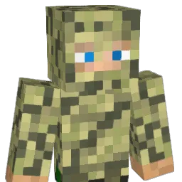 rizzo20 Minecraft avatar bust