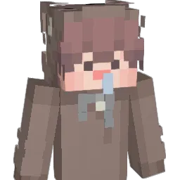 rjsgy14 Minecraft avatar bust