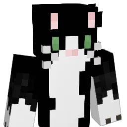 rjy0611 Minecraft avatar bust