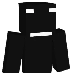 rks2007 Minecraft avatar bust
