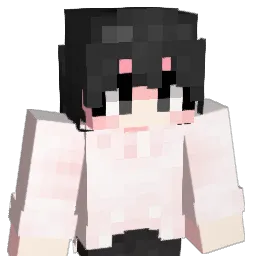 rlap1905 Minecraft avatar bust
