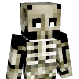 rlaw135 Minecraft avatar bust