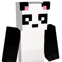rlawnstn0120 Minecraft avatar bust