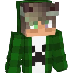 rmaBrian12 Minecraft avatar bust