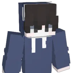 rnob2 Minecraft avatar bust
