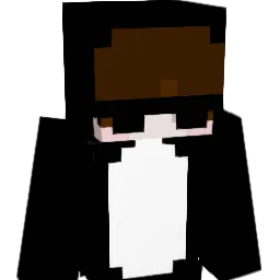 rnoodle420 Minecraft avatar bust
