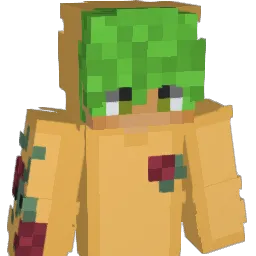 rnr1289 Minecraft avatar bust